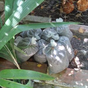 Adubo de composteira de galinheiro (7l)