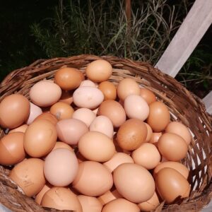 ovos caipira saquarema