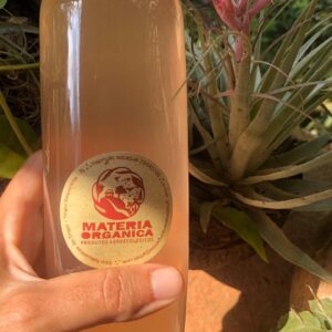 Frisante de Capim limão (500ml)