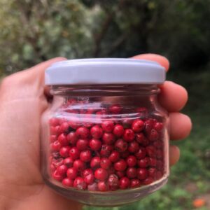 Pimenta rosa Matéria Orgânica (10g)