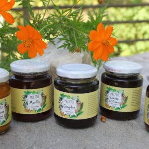 Melito de Gengibre (200g)