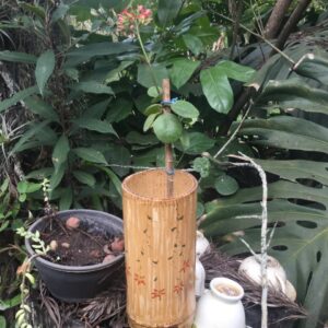 Cachepot de bambu decorado com planta Calanchoe (tipo 1)