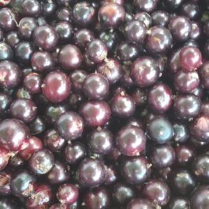 Jabuticaba inteira congelada (500g)