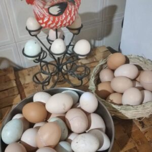 Ovos caipira Sítio do Galo (dúzia)